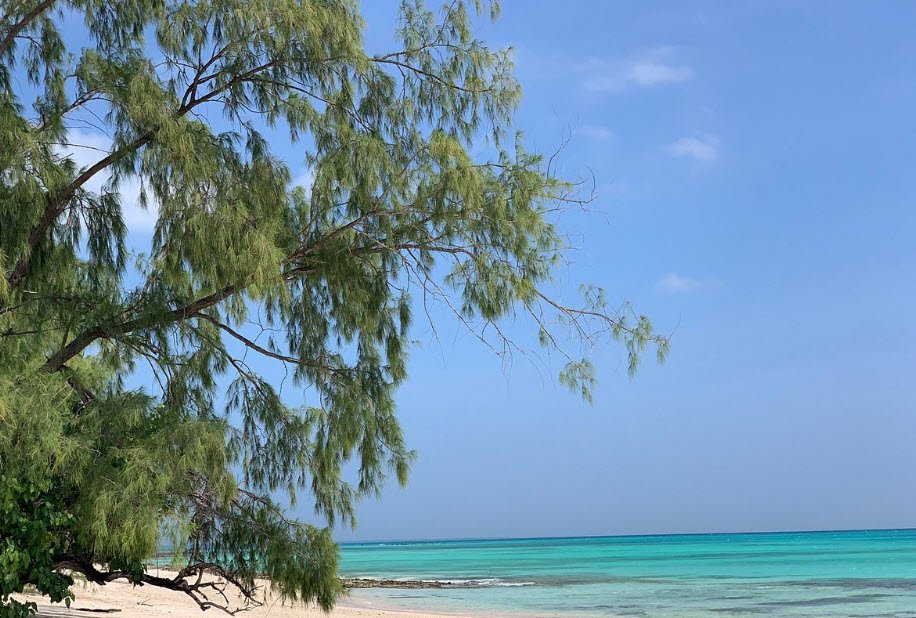 Vamizi Island, Cabo Delgado Province, Mozambique
